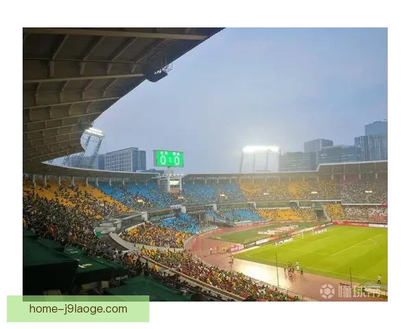 马赛因球迷看台暴力事件被足协处罚南看台停赛三场 马赛因球迷看台暴力事件被足协处罚南看台停赛三场